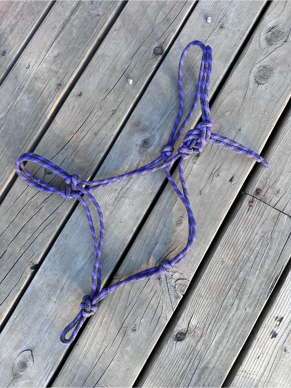 Horse Tack - Purple & Black Rope Halter